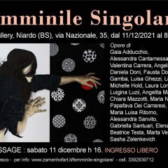Femminile Singolare – Vi.P. Gallery Valacamonica di Niardo – December 2021/March 2022
