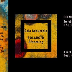 “Polaroid Blooming – solo show” – 26th February/4th of March 2022