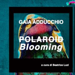 “Polaroid Blooming” – nuova personale – 9 Ottobre/6 Novembre 2022